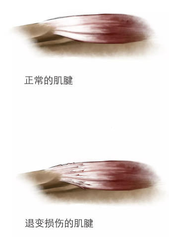圖片25.png