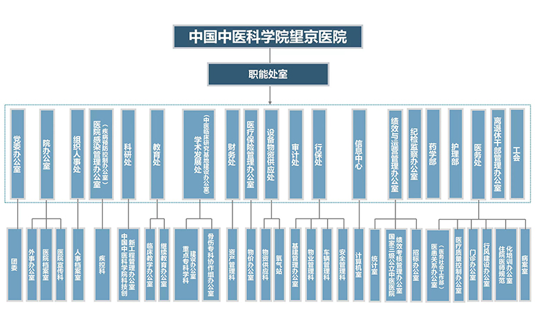 中國中醫(yī)科學(xué)院望京醫(yī)院組織機(jī)構(gòu)圖